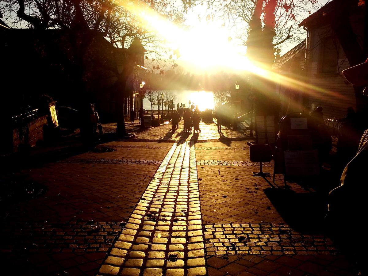 MonAmi Art Apartman Vac Bagian luar foto